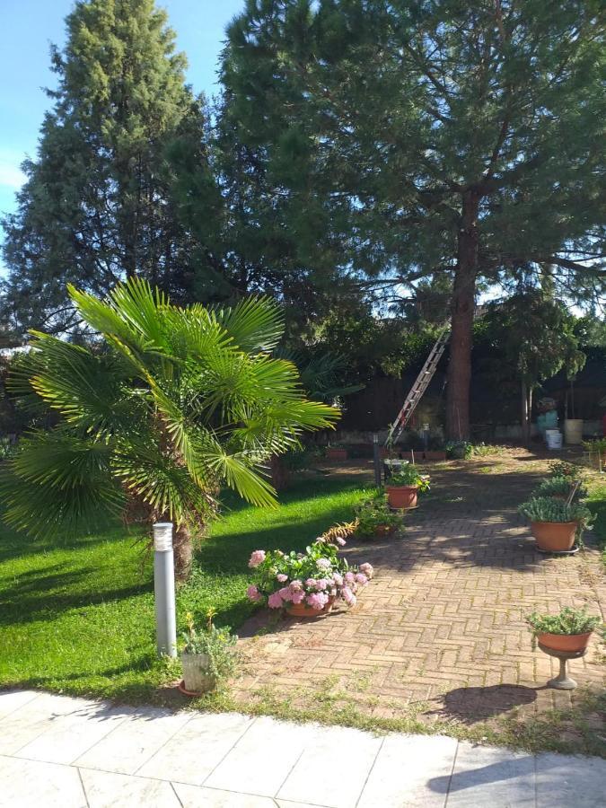 Antica Cascina B&B Borghetto Lodigiano Exterior foto
